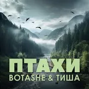 Botashe